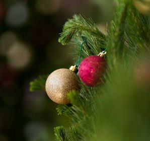 Close-up of gold and red baubles hanging on a real pine Christmas tree