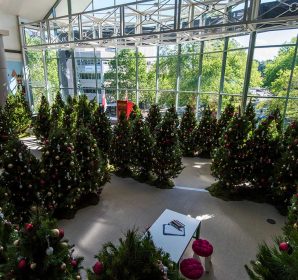 Decorated real Christmas trees in the Canberra Centre display, 2016