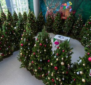 Rows of decorated real Christmas trees in the Canberra Centre display, 2016
