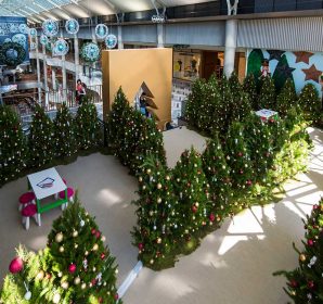 The Canberra Centre Christmas display filled with decorated real trees, 2016